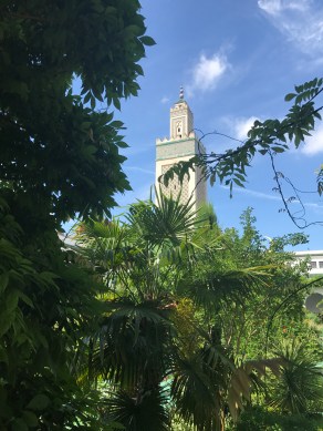 2017-05-30_11-30-52_764